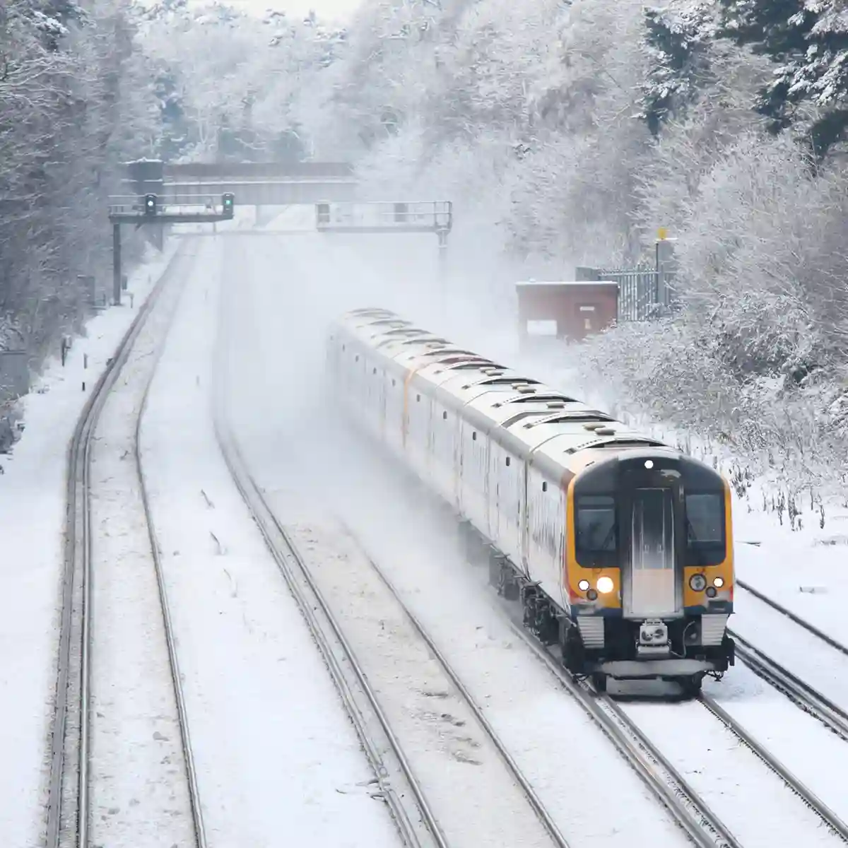 Delivering Through the Festive Period